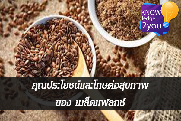 คุณประโยชน์และโทษต่อสุขภาพของ เมล็ดแฟลกซ์