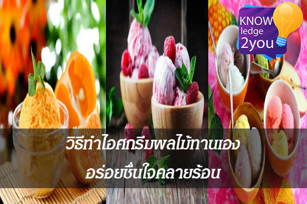 วิธีทำไอศกรีมผลไม้ทานเอง อร่อยชื่นใจคลายร้อน