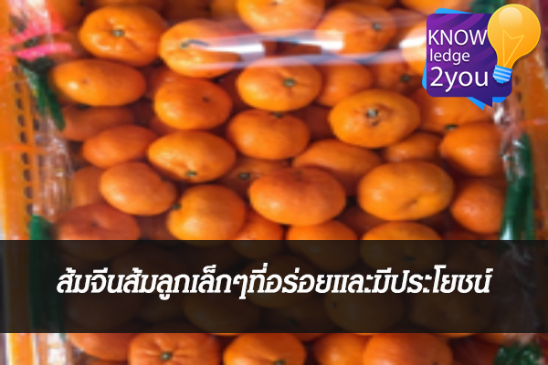 ส้มจีนส้มลูกเล็กๆที่อร่อยและมีประโยชน์