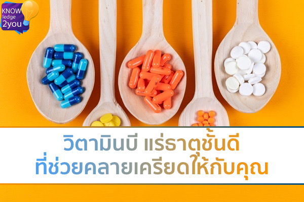 วิตามินบี แร่ธาตุชั้นดีที่ช่วยคลายเครียดให้กับคุณ