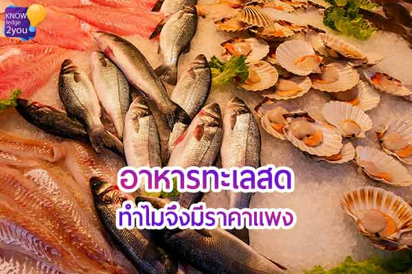 ทำไม อาหารทะเลสด จึงมีราคาแพง