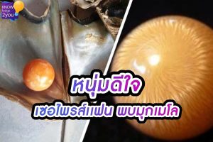 หนุ่ม สุดโชคดี ซื้อหอยหวานเลี้ยงวันเกิดแฟน พบมุกเมโล ล้ำค่า