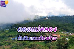 ดอย แม่สลอง ถูกเรียกว่า ‘ดินแดนต้องห้าม’? ล้วงลึกความลับที่ซ่อนอยู่