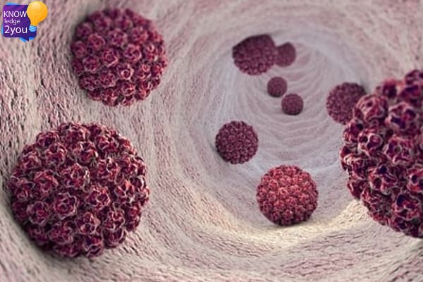 เชื้อไวรัส HPV : อันตรายที่อาจซ่อนอยู่และวิธีป้องกันที่คุณควรรู้