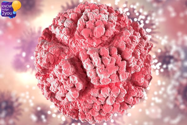 เชื้อไวรัส HPV : อันตรายที่อาจซ่อนอยู่และวิธีป้องกันที่คุณควรรู้