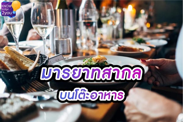 มารยาท บนโต๊ะ อาหารสากล ความสำคัญที่มากกว่าแค่การกิน