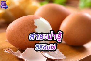 วิธีต้มไข่ ให้ออกมาถูกใจในแบบที่ต้องการ 