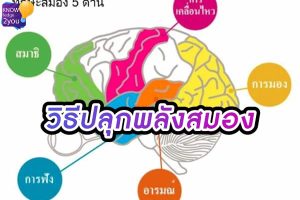 ปลุกพลัง สมอง 5 วิธีพัฒนาความจำและความคิดสร้างสรรค์