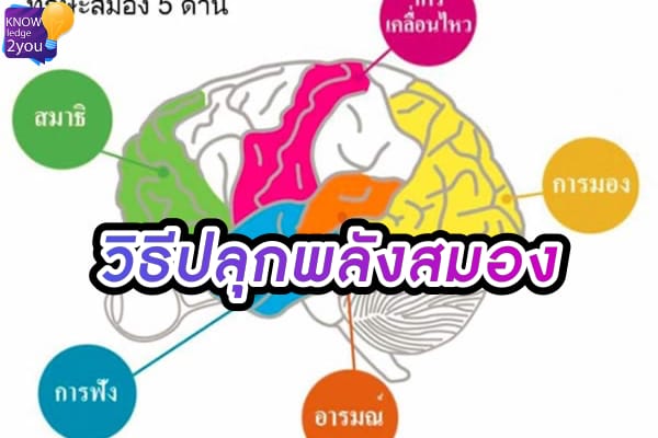 ปลุกพลัง สมอง 5 วิธีพัฒนาความจำและความคิดสร้างสรรค์