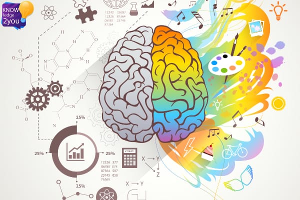 ปลุกพลังสมอง 5 วิธีพัฒนาความจำและความคิดสร้างสรรค์