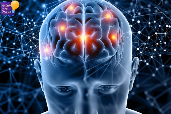 ปลุกพลังสมอง 5 วิธีพัฒนาความจำและความคิดสร้างสรรค์