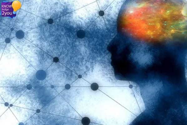 ปรากฏการณ์าเดจาวู (Déjà Vu) เมื่อสมองเกิดข้อผิดพลาดชั่วขณะ