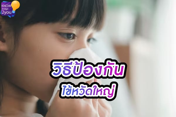 ไข้หวัดใหญ่ สายพันธุ์ A แพร่หนัก สาเหตุ อาการ วิธีป้องกัน